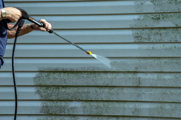 Best Gutter Cleaning  in Fayette, IA